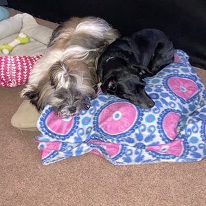 Meet your Posher, Anyssa